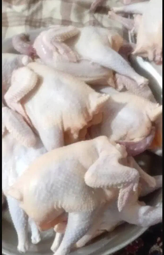 مرغ محلی|خوردنی و آشامیدنی|رامهرمز, |دیوار