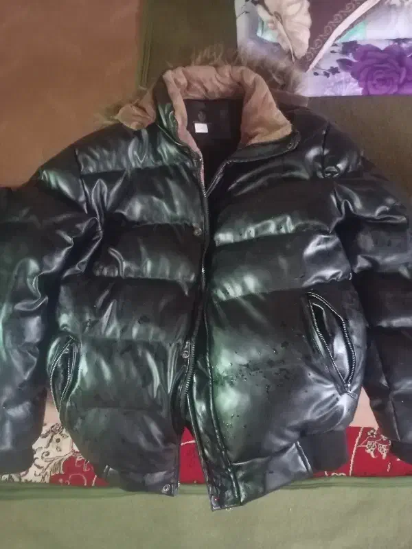 کاپشن مردانه|لباس|شبستر, |دیوار