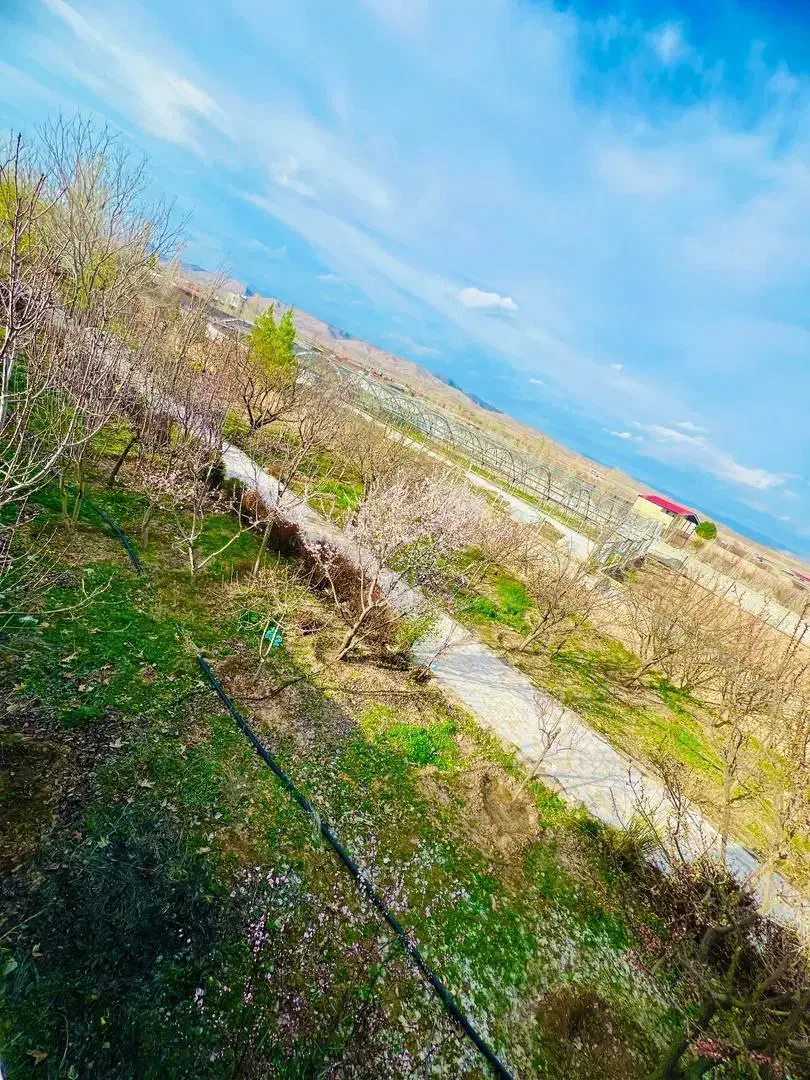 باغ میوه شاهنامه معاوضه206پارس زانتیاسوناتا207آزرا|فروش خانه و ویلا|مشهد, توس فردوسی|دیوار