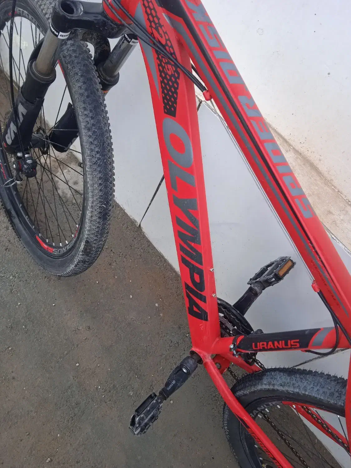 دوچرخه|دوچرخه، اسکیت، اسکوتر|بیرجند, |دیوار