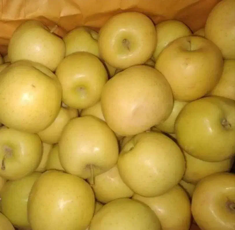 سیب درجه ۲|خوردنی و آشامیدنی|سراجو, |دیوار