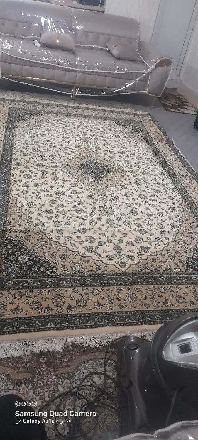 فرش سالم|فرش|ارومیه, |دیوار