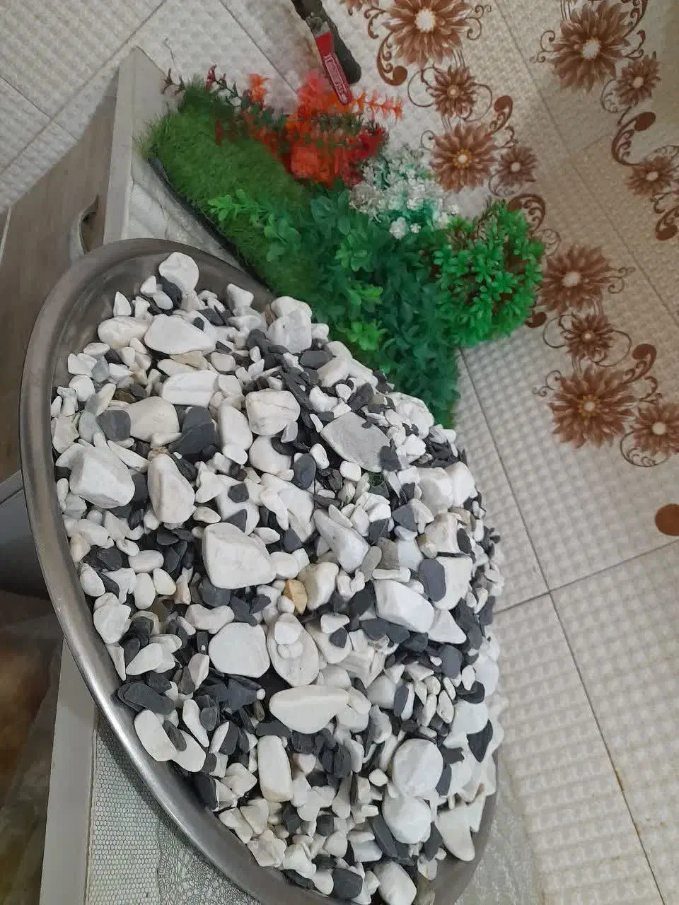 اکواریوم|ماهی|قم, دروازه ری|دیوار