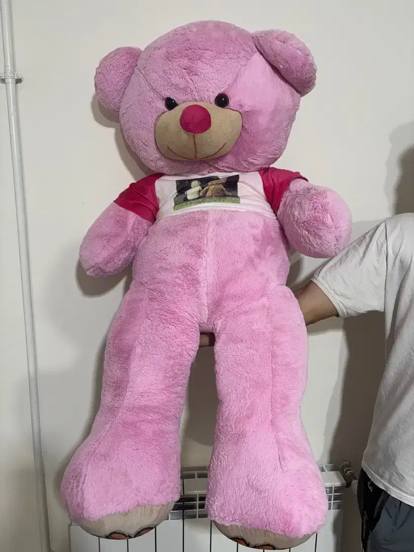 شاسخین|اسباب‌‌بازی|ابهر, |دیوار