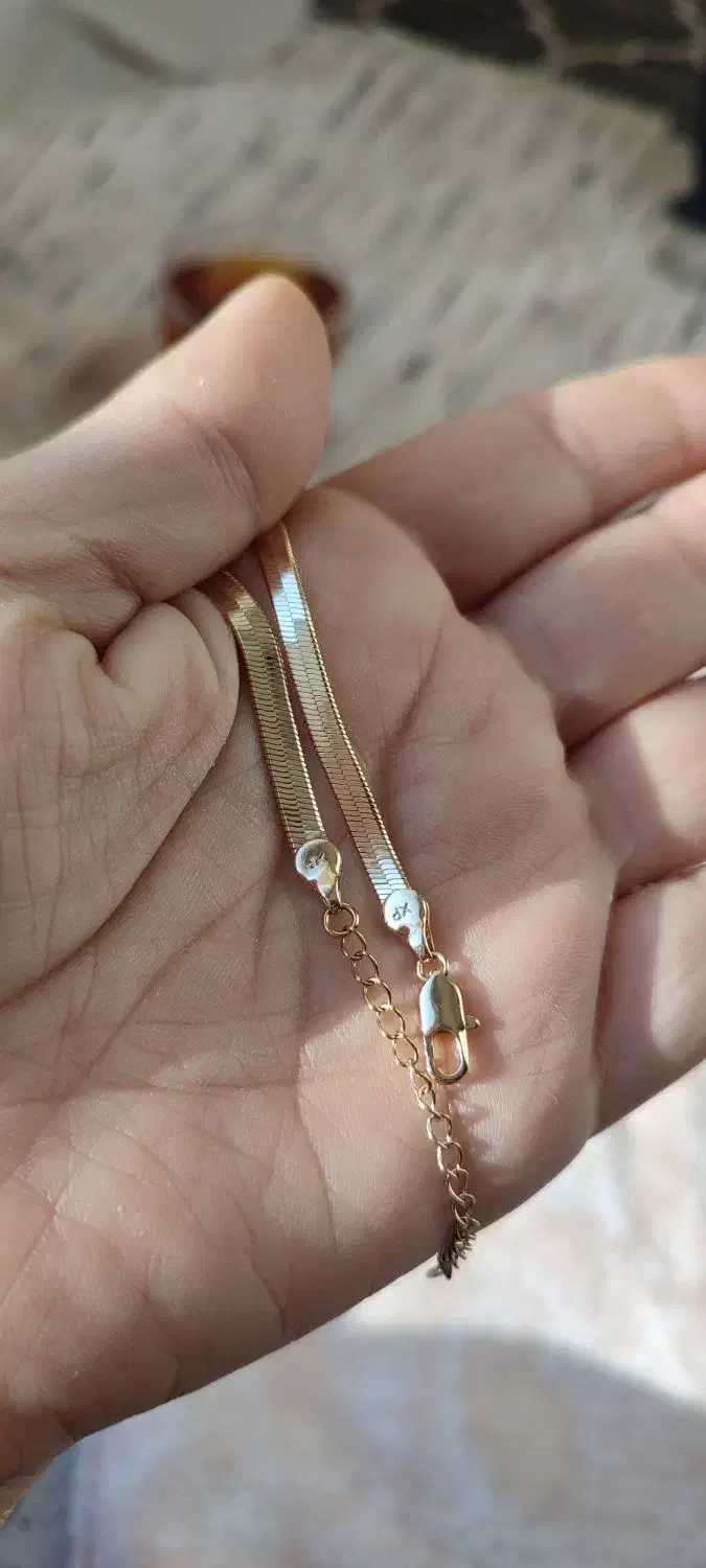 زنجیر نفرتی پهن|بدلیجات|بندر انزلی, ساحل قو|دیوار