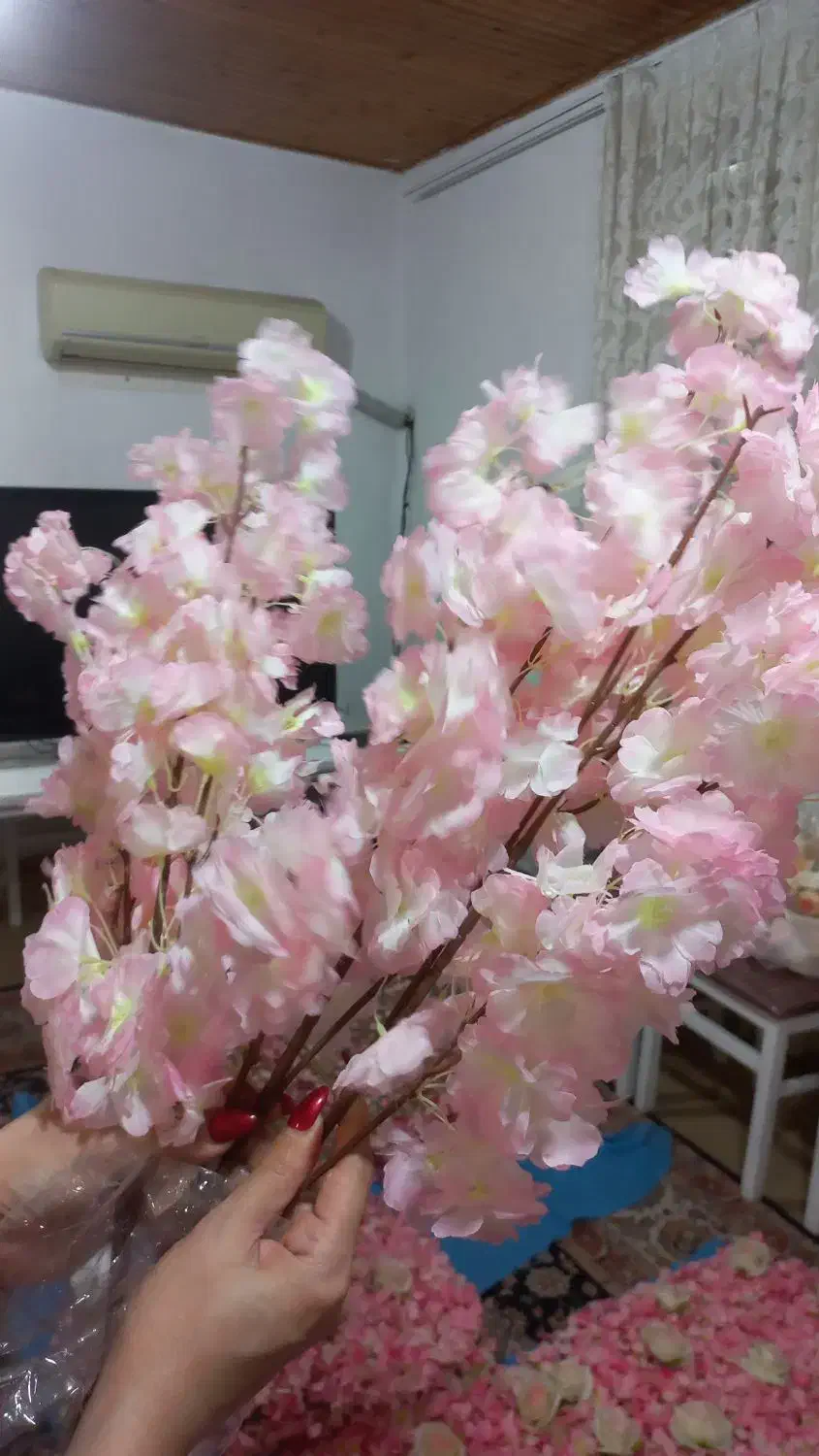 شکوفه گل مصنوعی|گل مصنوعی|بندر انزلی, ساحل قو|دیوار