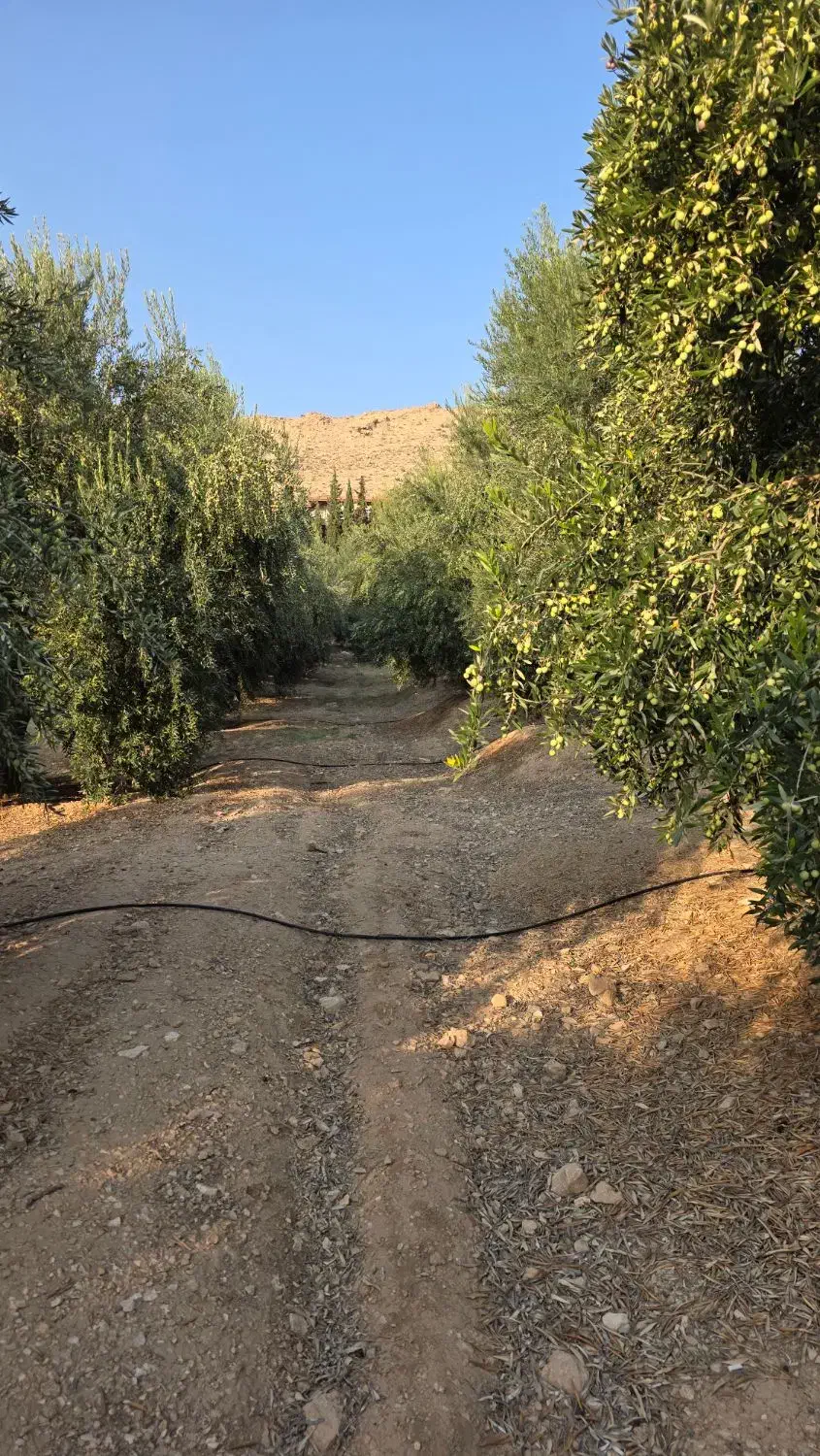 کارگر باغی - کشاورزی و نگهبان|استخدام صنعتی، فنی، مهندسی|شیراز, شیمی گیاه|دیوار