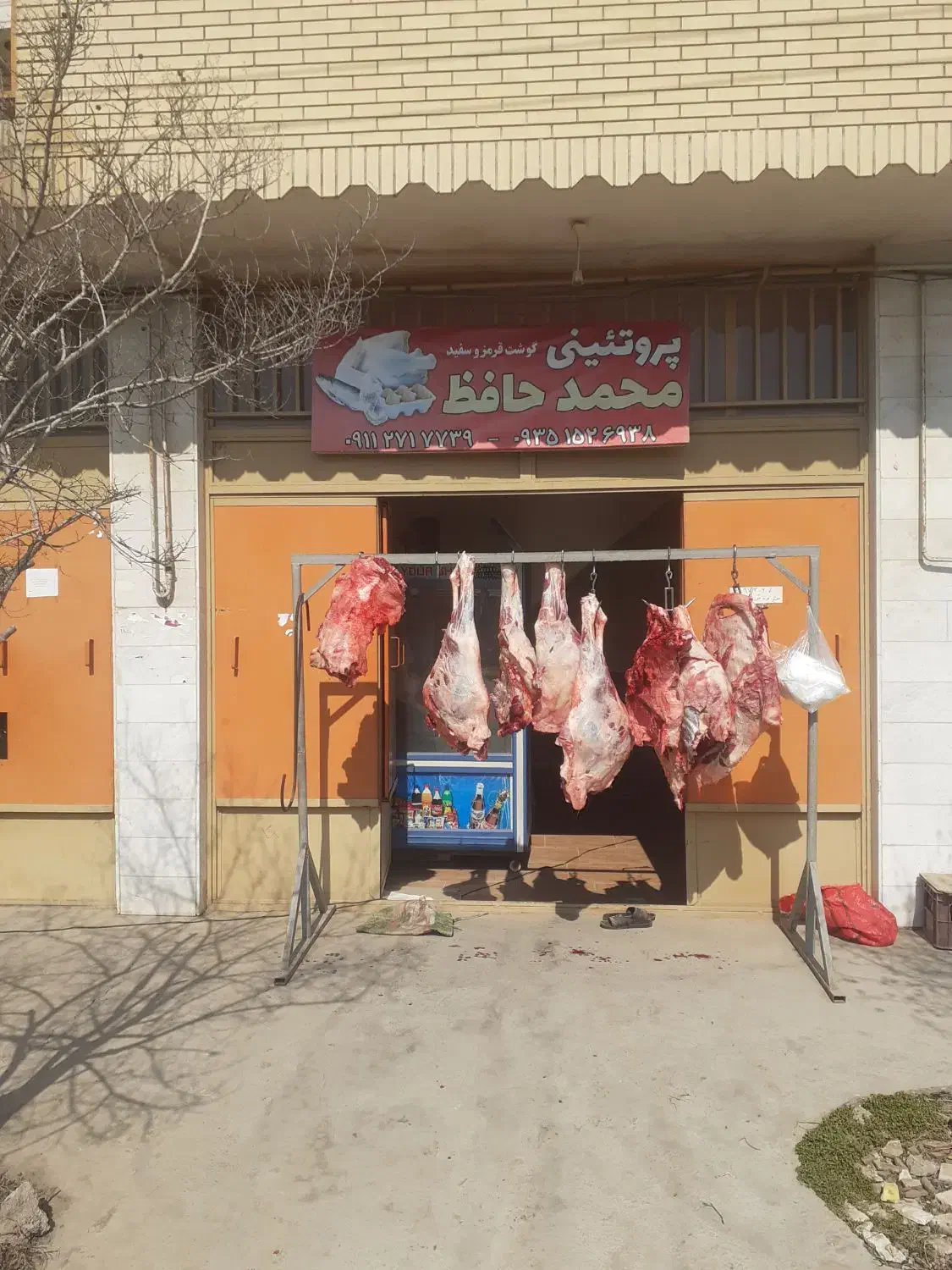 کله پاچه گوسفندی|خوردنی و آشامیدنی|آق قلا, |دیوار