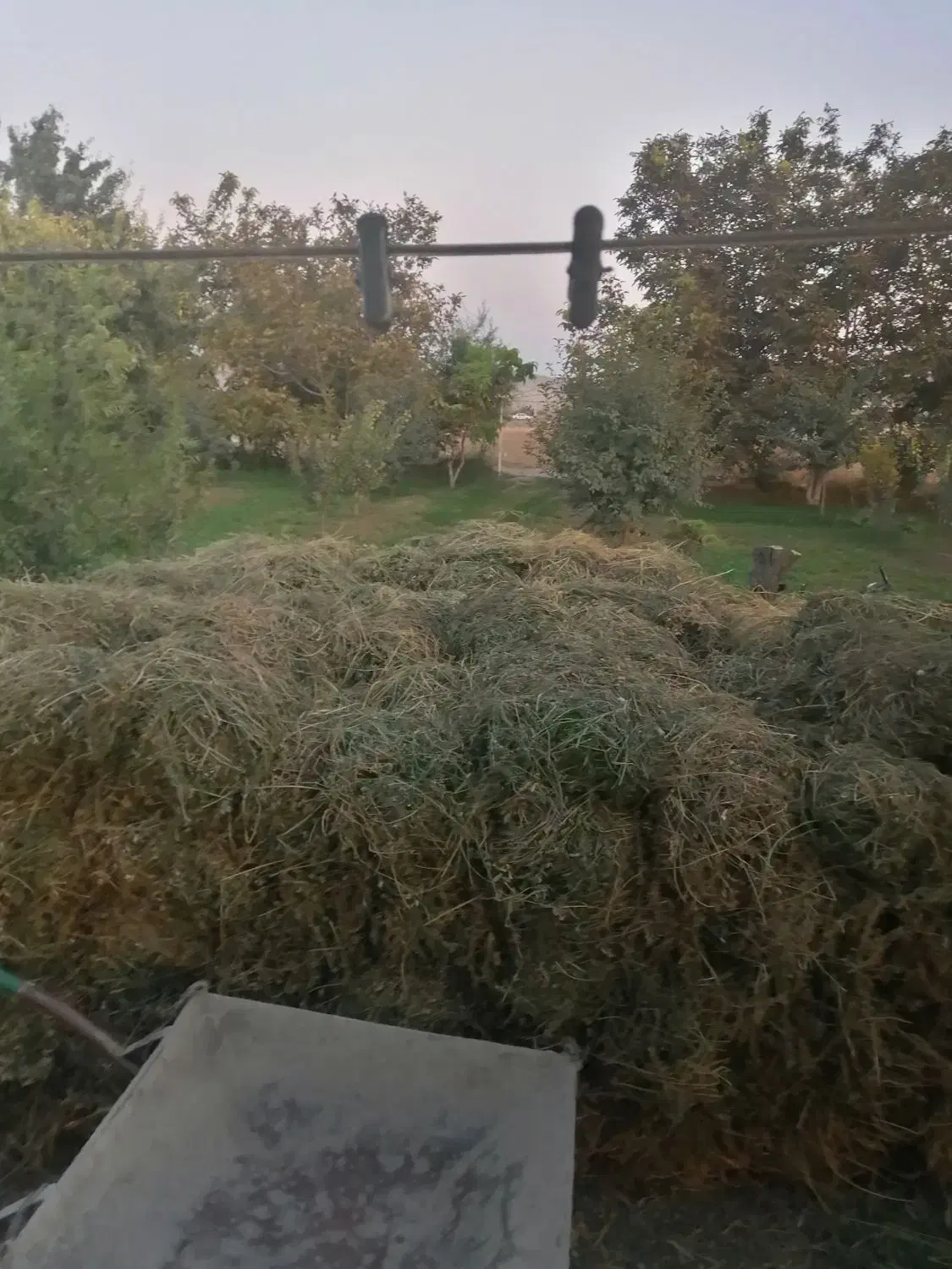 یونجه|حیوانات مزرعه|خوی, |دیوار