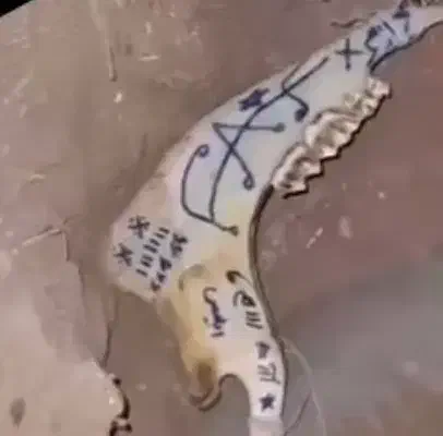 متافیزیک|کتاب و مجله مذهبی|شیراز, شهرک بهار|دیوار