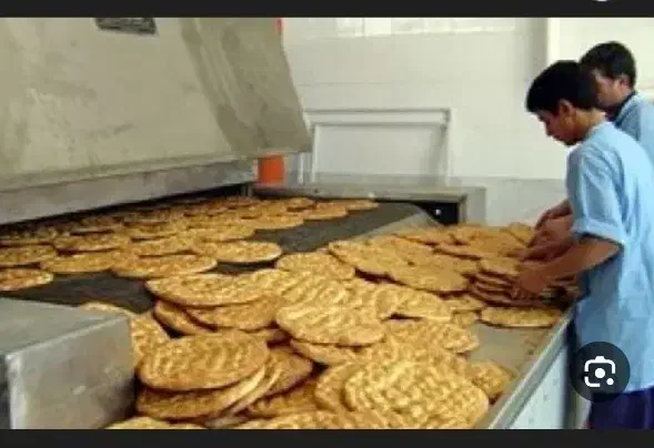 خمیرگیر|استخدام خدمات فروشگاه و رستوران|زابل, |دیوار