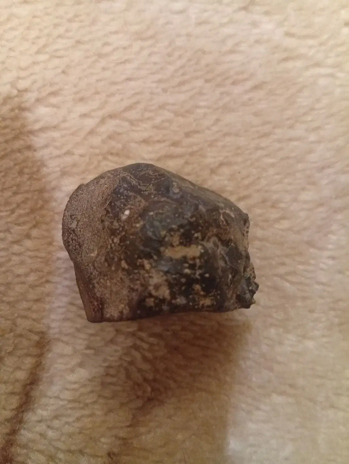 یک‌عدد‌شهاب‌سنگ‌|کلکسیون اشیاء عتیقه|صحنه, |دیوار