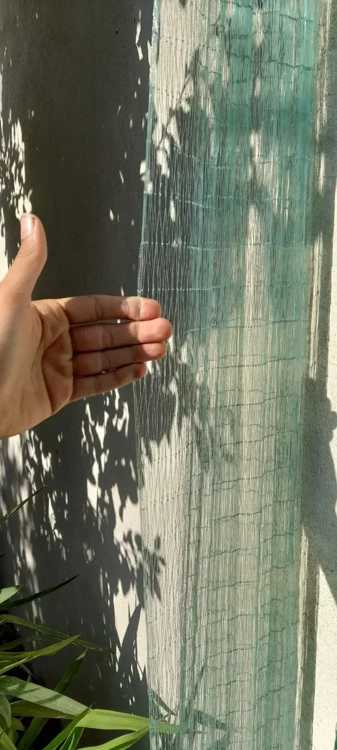 سرب اهنی|ماهیگیری|لردگان, |دیوار