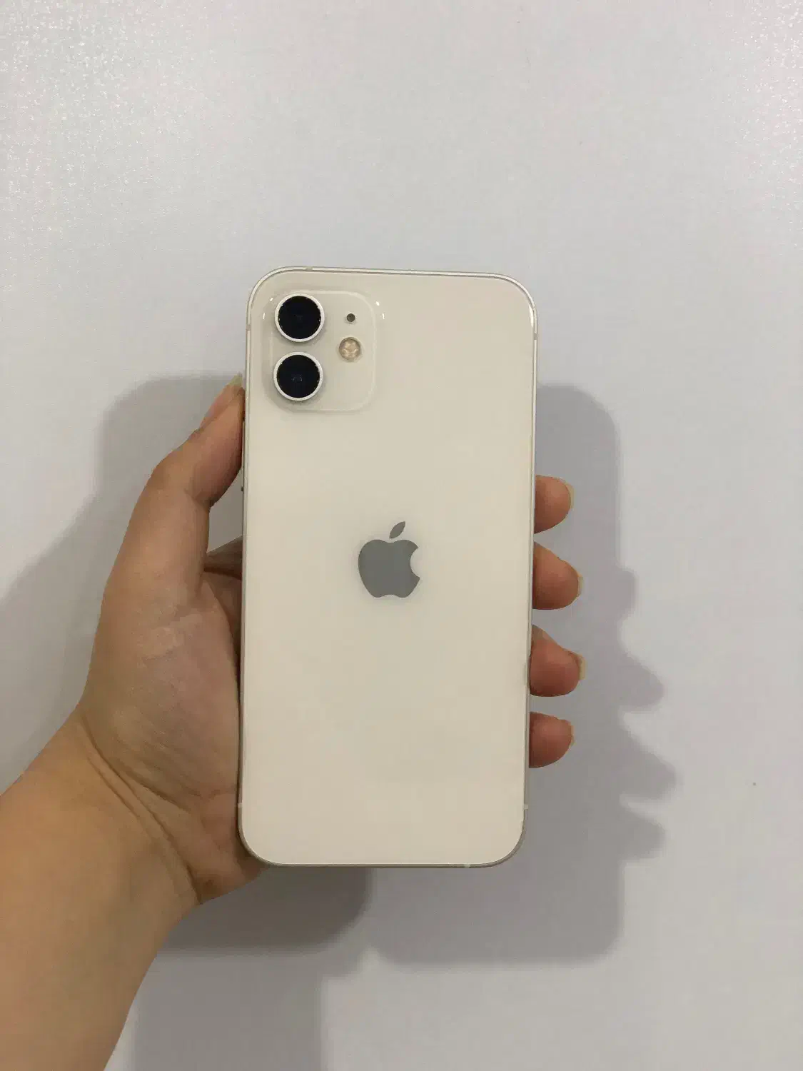 ایفون ۱۲|موبایل|ساری, |دیوار