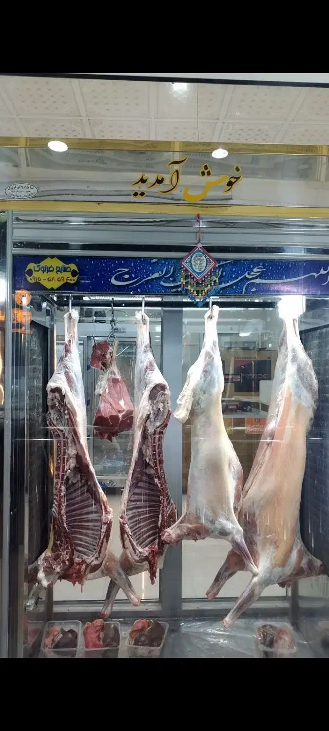 گوشت گوساله و بره|خوردنی و آشامیدنی|بجنورد, |دیوار