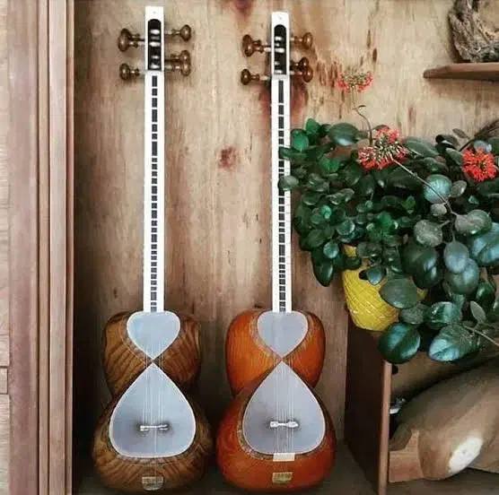 دوره خصوصی آموزش تار|خدمات آموزشی|نیشابور, دارایی|دیوار