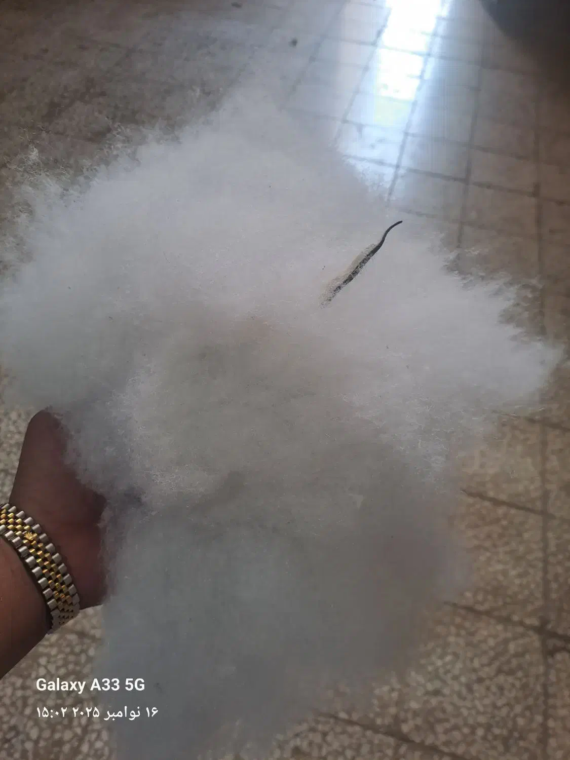 پشم شیشه حلاجی شده|رختخواب، بالش، پتو|پاکدشت, پاکدشت (مامازند)|دیوار