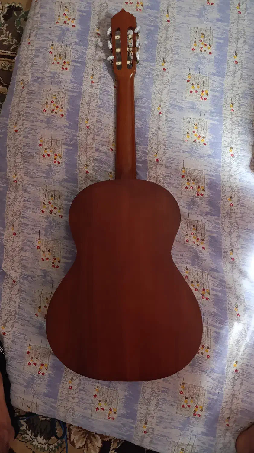 گیتارm5|گیتار، بیس، امپلیفایر|مینودشت, |دیوار