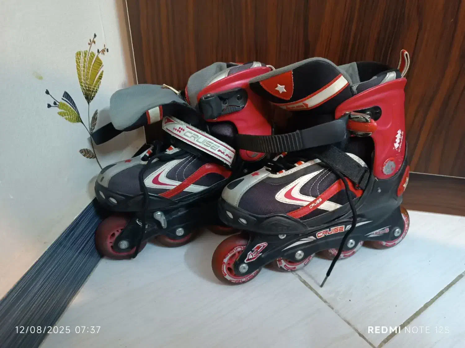 دوچرخه.اسکیت|دوچرخه، اسکیت، اسکوتر|پاکدشت, پاکدشت (مامازند)|دیوار