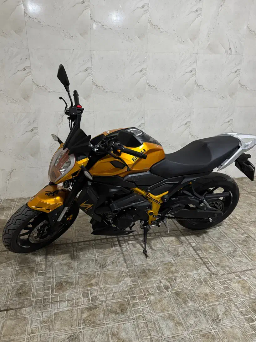 موتور سیکلت بلنتا 300 cc مدل ۱۴۰۲|موتورسیکلت|خوی, |دیوار