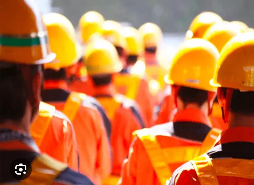 نیروی کار جهت فروشگاه مبلمان|استخدام سرایداری و نظافت|یزد, |دیوار