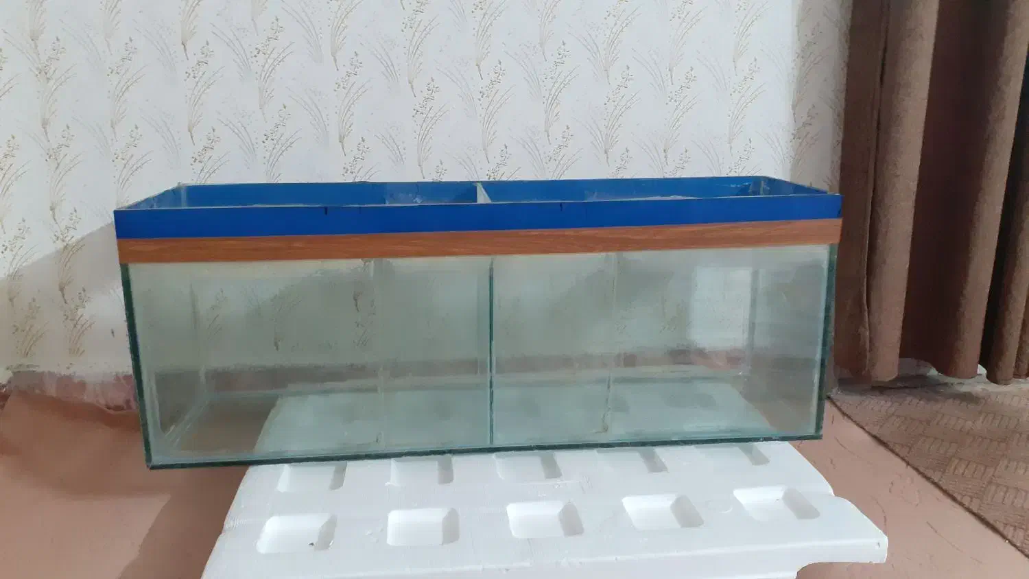 اکواریوم یک متری تر تمیز|ماهی|گرگان, |دیوار