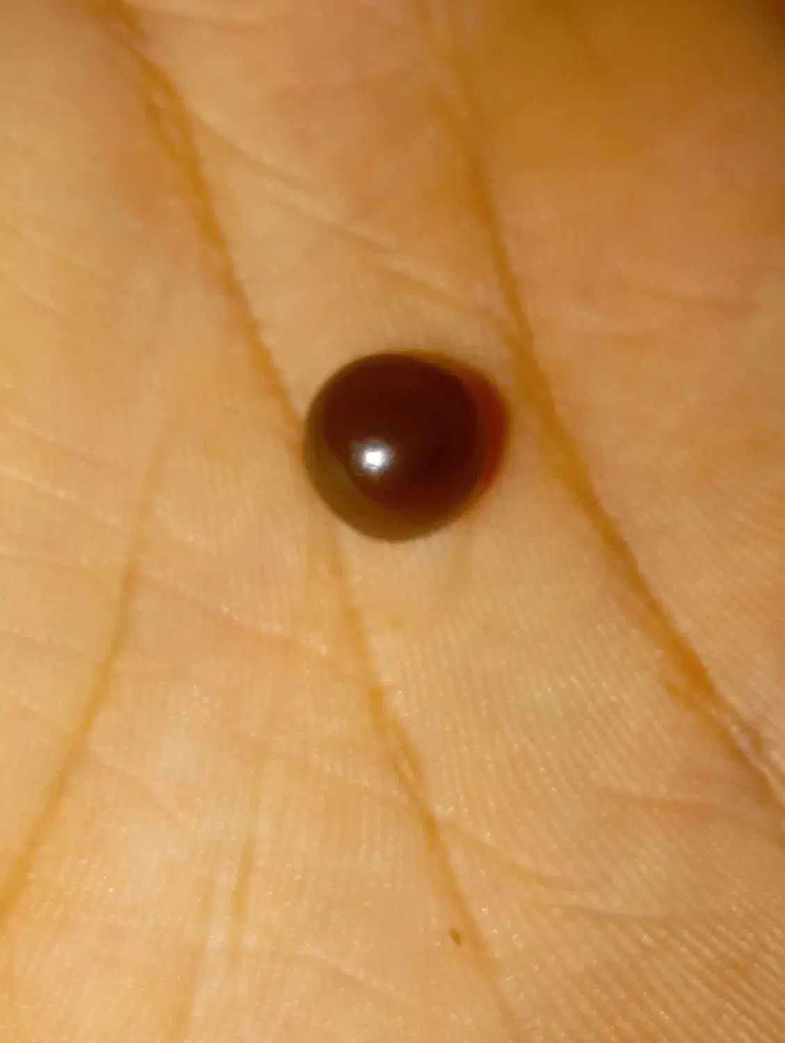 عقیق خرمایی|جواهرات|قزوین, |دیوار