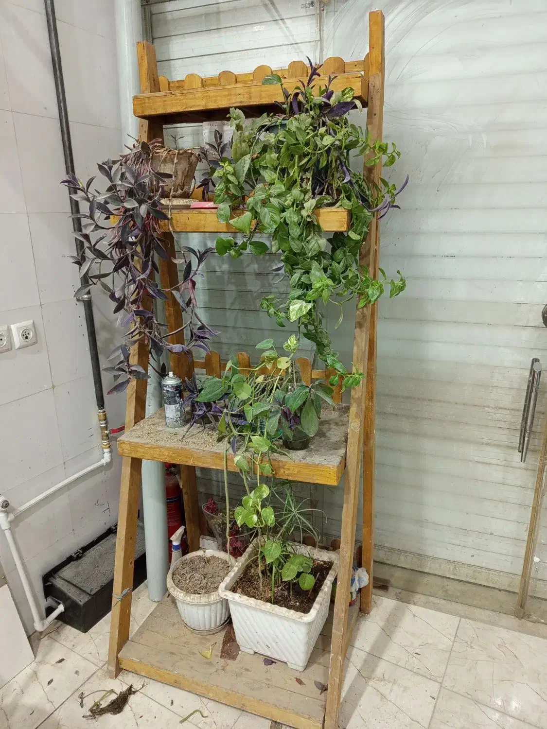 پایه گلدان سالم|گل و گیاه طبیعی|نیشابور, شهرک اندیشه|دیوار