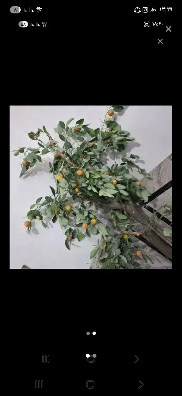 درختچه مصنوعی|گل مصنوعی|زابل, |دیوار