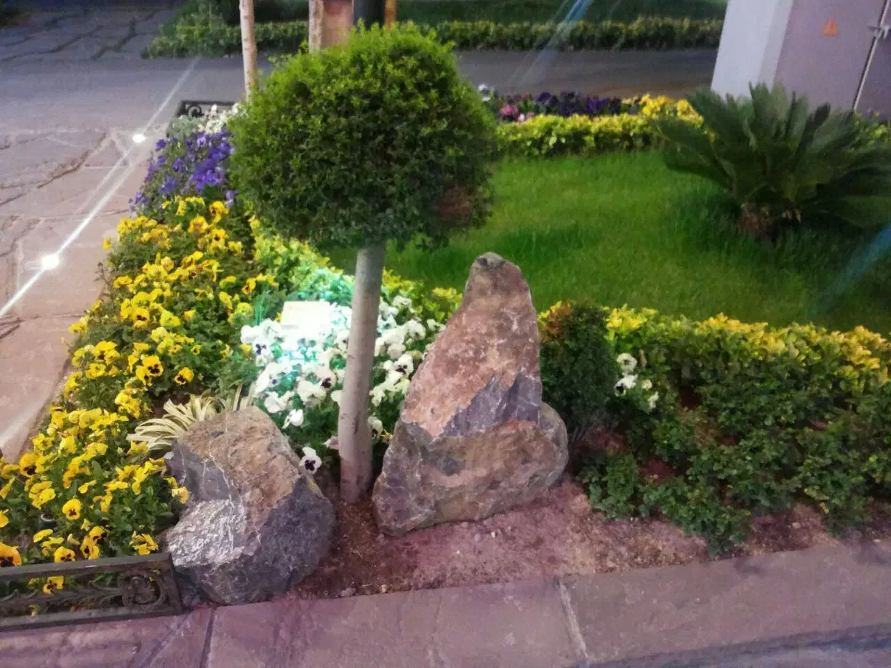 خاک باغچه مخلوط با کود حیوانی|خدمات باغبانی و درختکاری|فومن, |دیوار