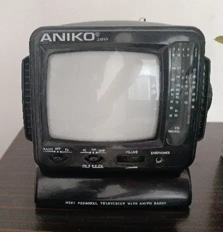 تلویزیون کوچیک آنیکو|کلکسیون اشیاء عتیقه|صدرا-فارس, فاز ۱|دیوار