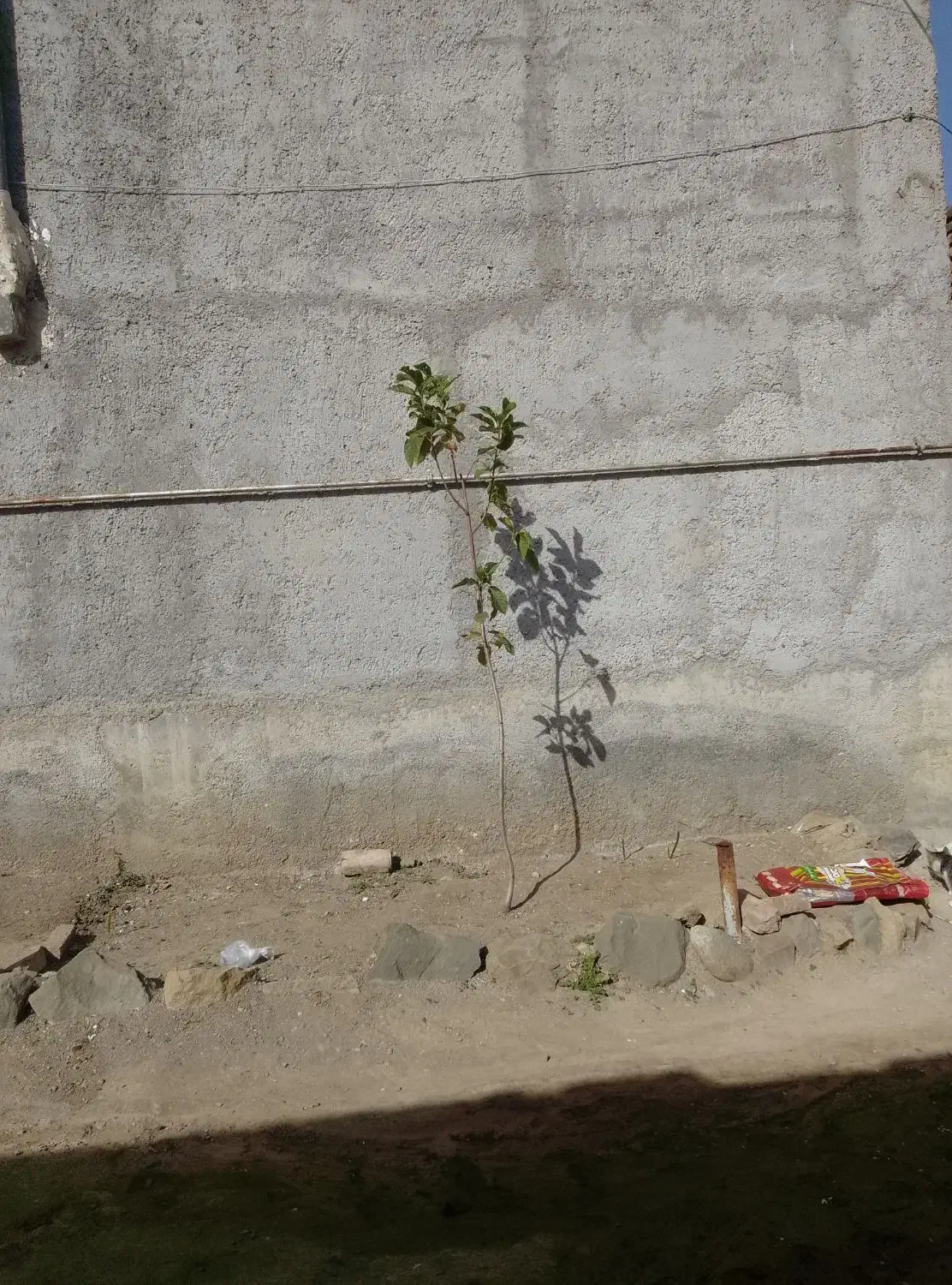 شیب بندی و سیمان کاری کف سازی حمام سرویس|خدمات پیشه و مهارت|گرمی, |دیوار