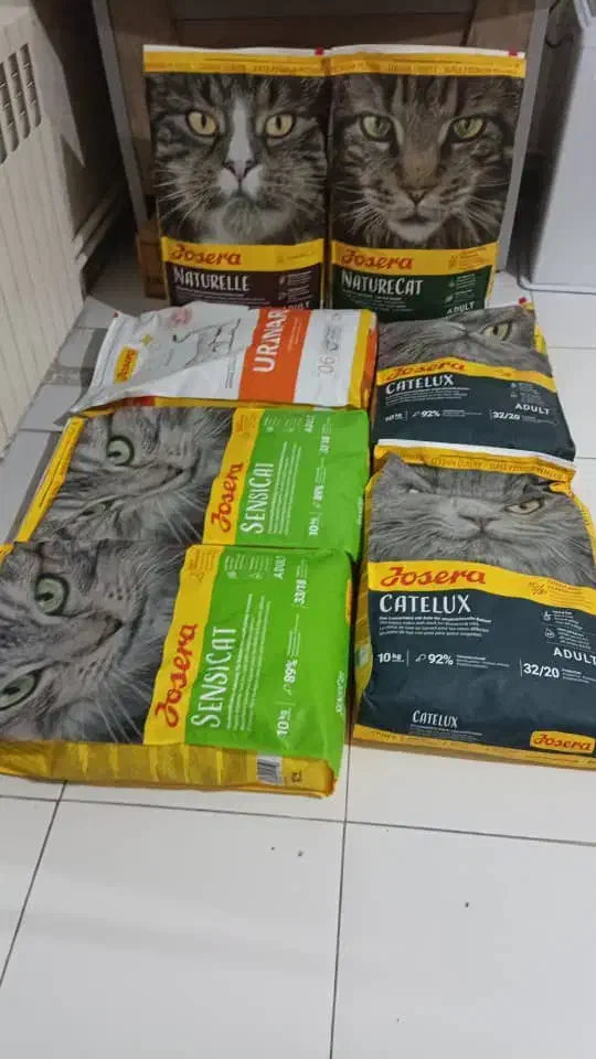 غذا خشک گربه - تامین کننده|لوازم جانبی حیوانات|تهران, جنت‌آباد مرکزی|دیوار