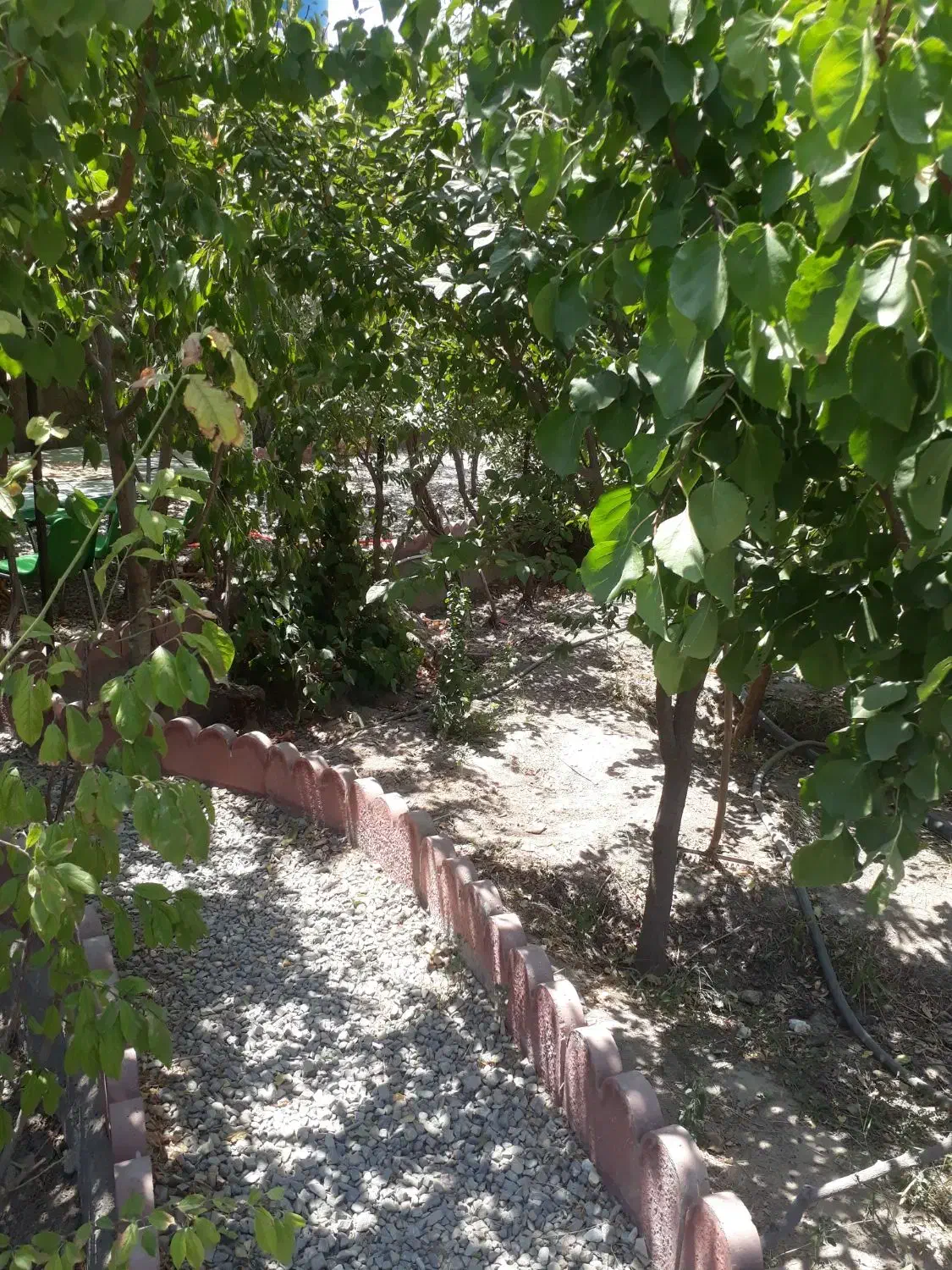 باغ ویلا ۵۰۰ متری انجم آباد،کنتوربرق،گاز،آب|فروش خانه و ویلا|رباط‌کریم, انجم آباد|دیوار