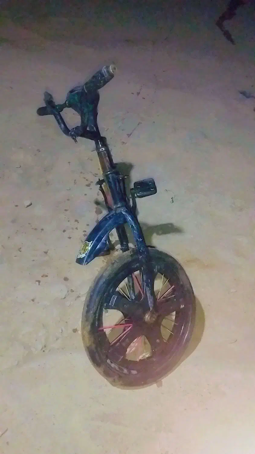 دوچرخه ۲۰|دوچرخه، اسکیت، اسکوتر|سیب و سوران, |دیوار