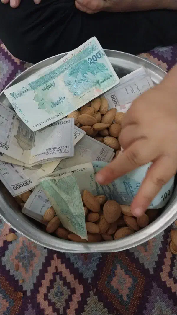 بره نر|حیوانات مزرعه|شازند, |دیوار