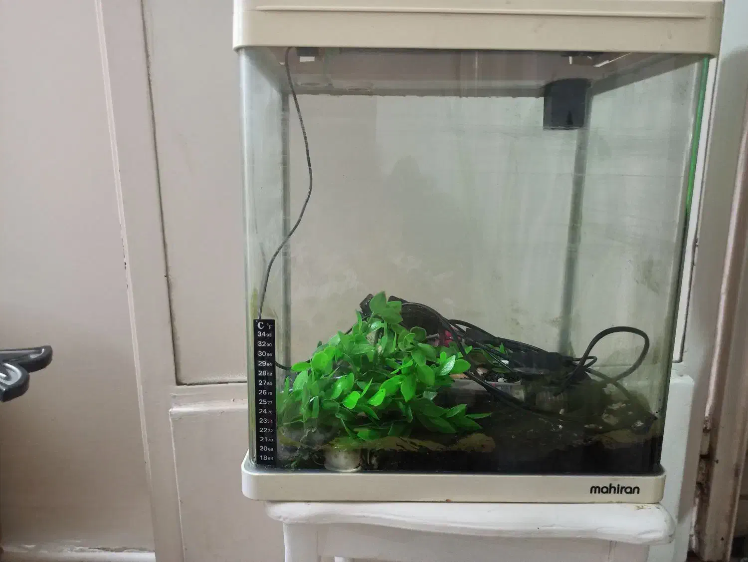 اکواریوم تمیز. ماهیران|ماهی|اصفهان, شیخ طوسی|دیوار