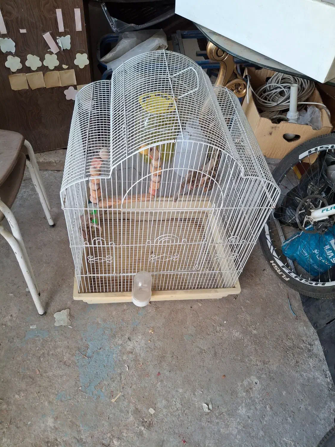 قفس پرنده|لوازم جانبی حیوانات|مشهد, بهاران|دیوار