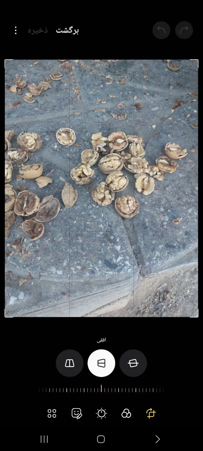 مغز گردو ایرانی|حراج|نهاوند, |دیوار