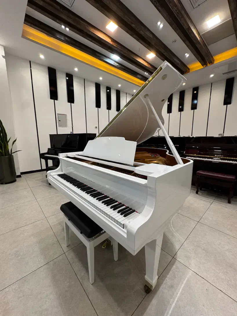 پیانو آکوستیک|پیانو، کیبورد، آکاردئون|شیراز, عفیف‌آباد|دیوار