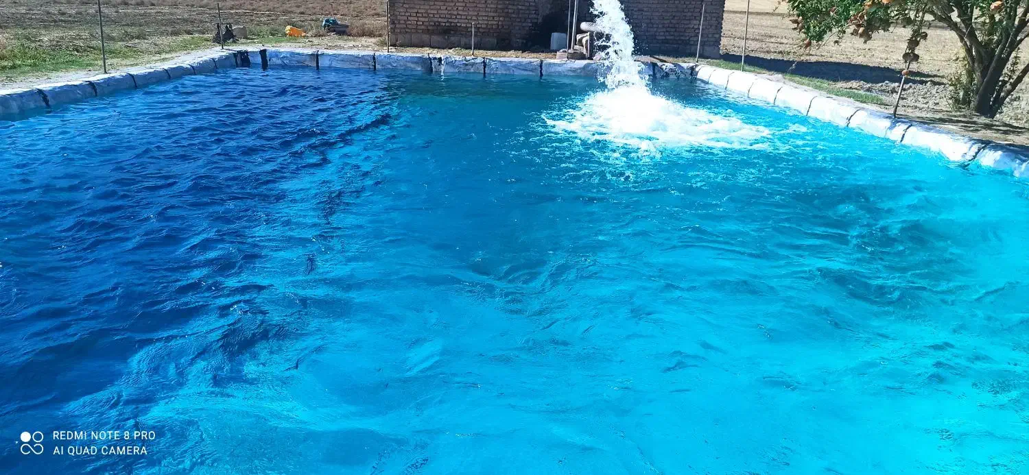 چادر صحرایی(سایبان گونی)|اشیا|طرهان, |دیوار