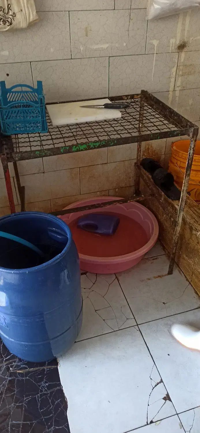 فروش لوازم کامل مرغ فروشی|فروشگاه و مغازه|کوهدشت, |دیوار