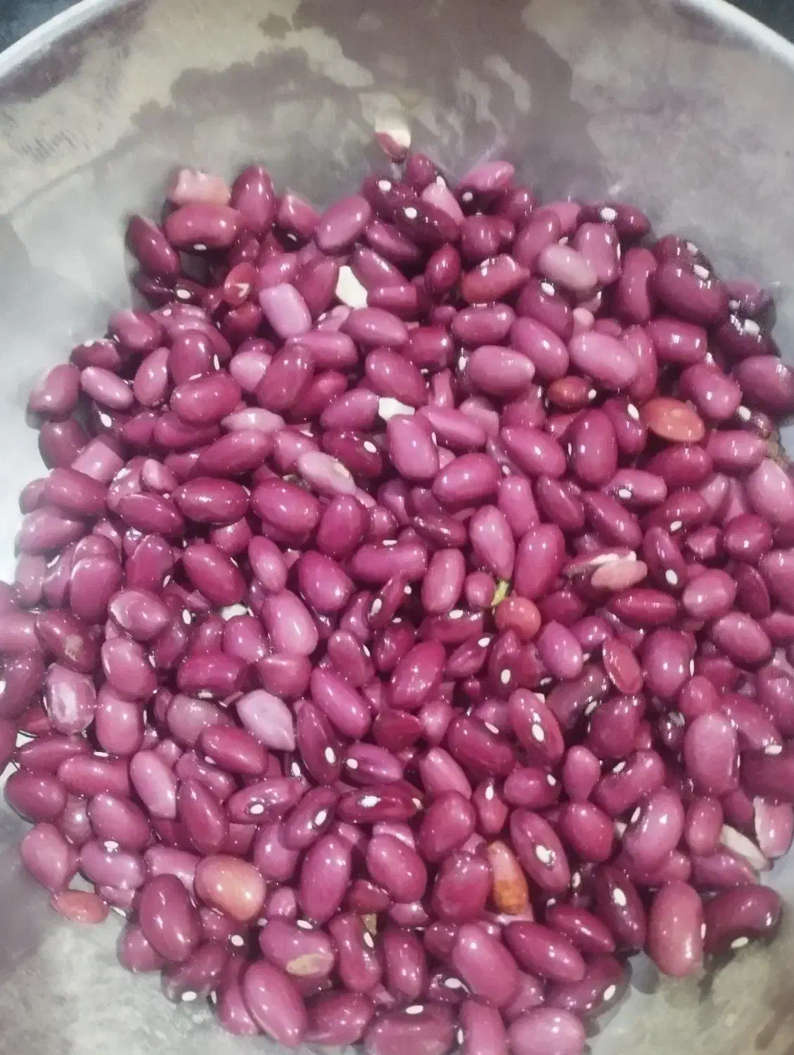 لوبیا قرمز|خوردنی و آشامیدنی|سردرود, |دیوار