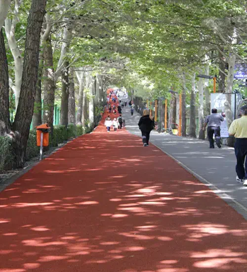 همراه ورزش|فعالیت داوطلبانه|اصفهان, باغ زرشک|دیوار