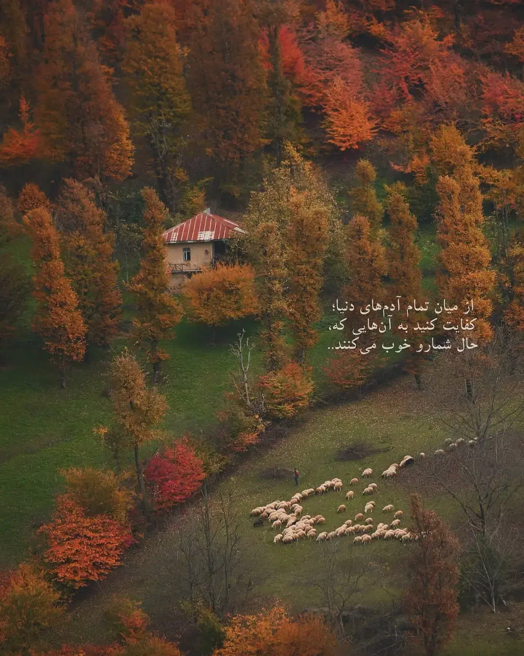 راهنمایی|فعالیت داوطلبانه تحقیقاتی|یاسوج, |دیوار