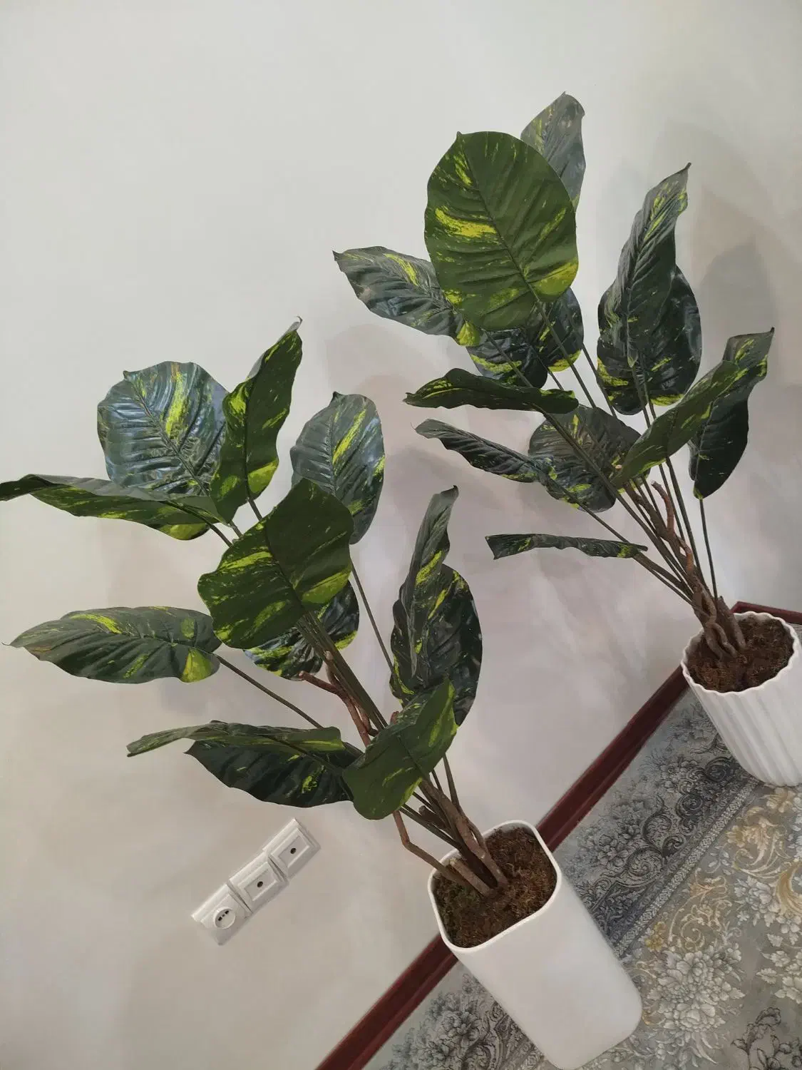 گل پرنده بهشتی|گل مصنوعی|دورود, |دیوار