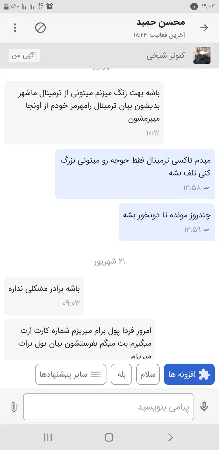 کبوتر رنگی دوکت|پرنده|بندر ماهشهر, |دیوار