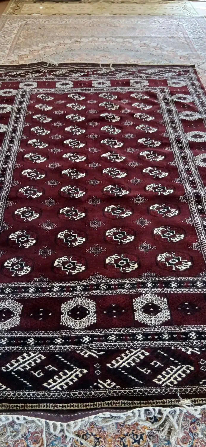 قالی|فرش|سیمین شهر, |دیوار