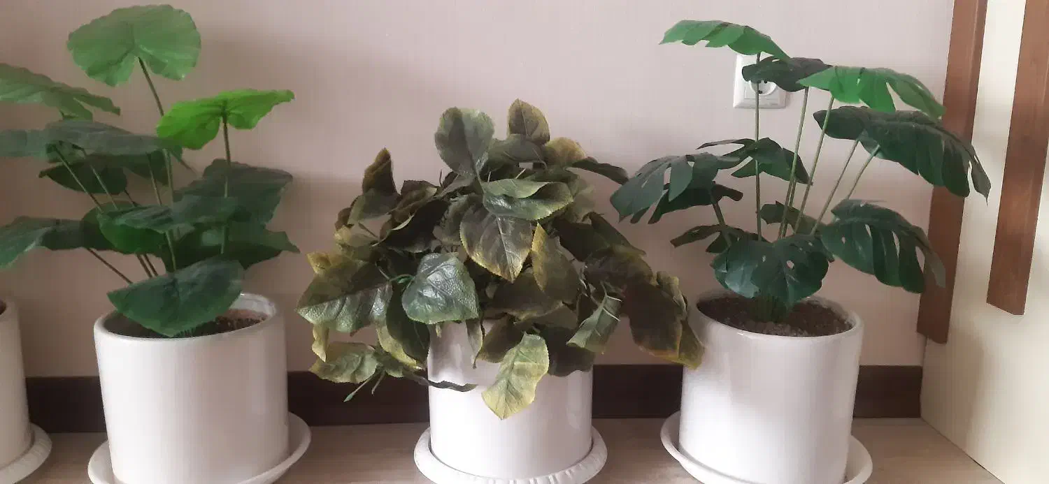 گل و گلدان مصنوعی|گل مصنوعی|قم, انصار‌الحسین|دیوار