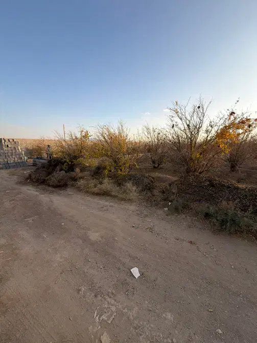 جهاداباد زمین باغی  ۵۰۰متری  با سهم آب و برق|فروش زمین و ملک کلنگی|شاهین‌شهر, برخوار غرب|دیوار